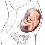 Premature baby is a baby born prior to 37 weeks